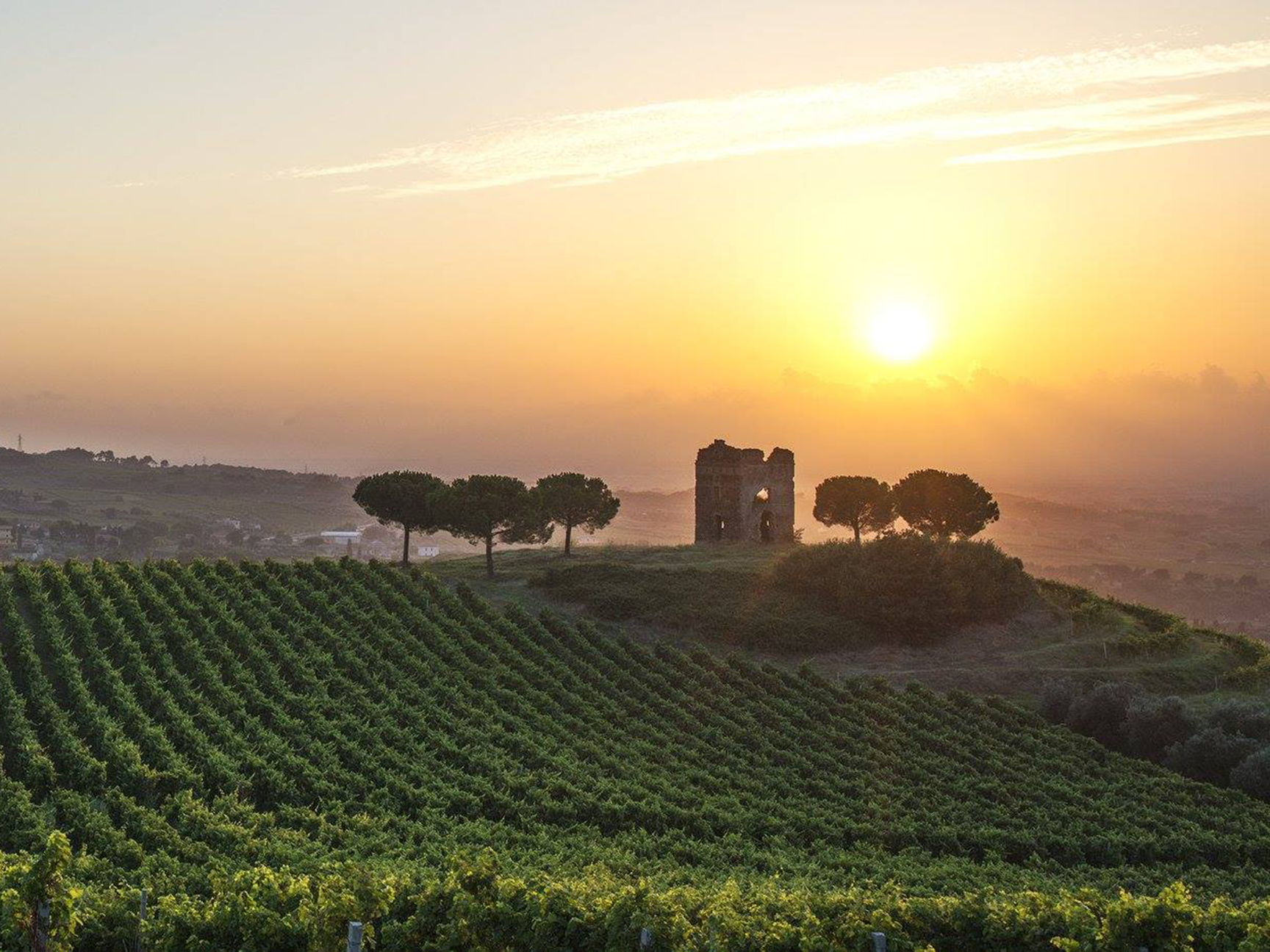 Importer backup iaccetexas