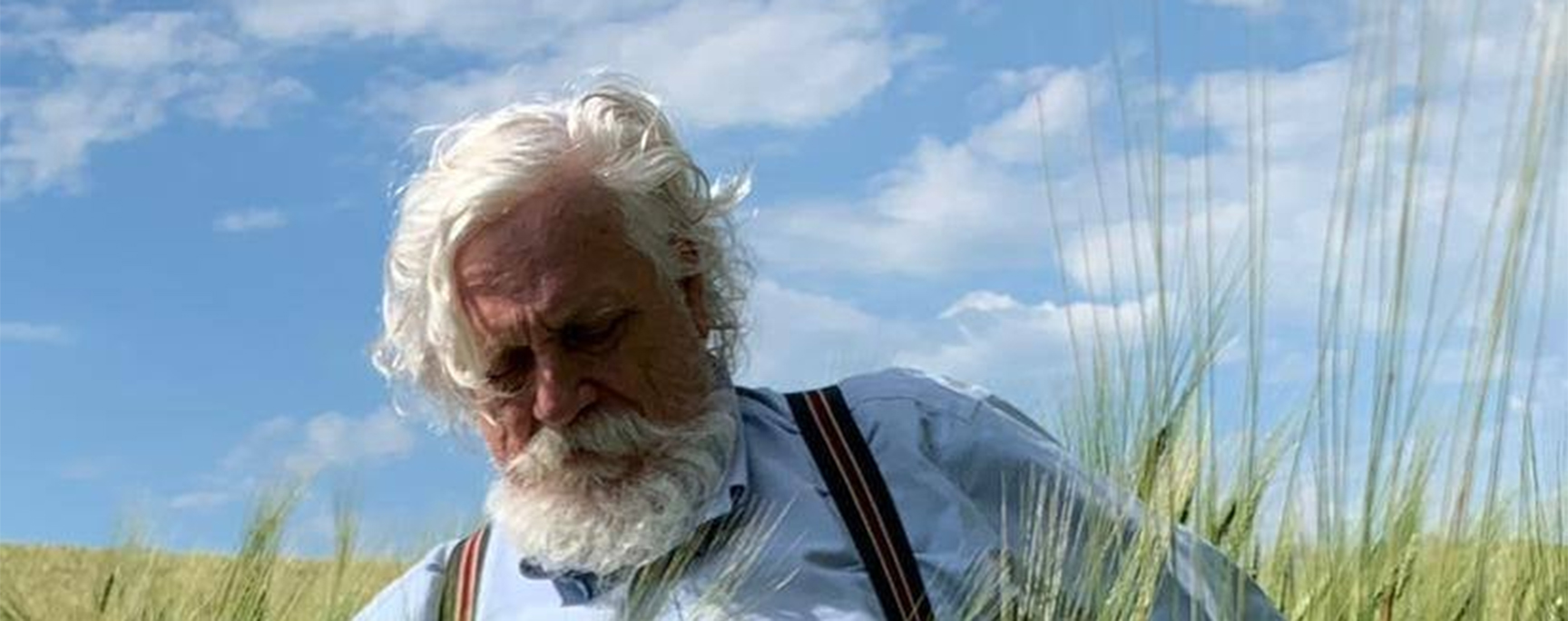 Importer backup iaccetexas