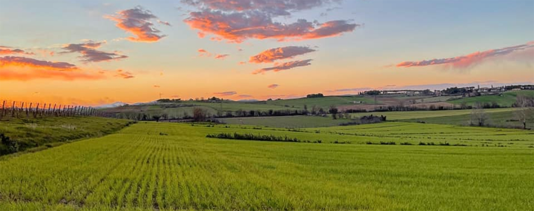 Importer backup iaccetexas