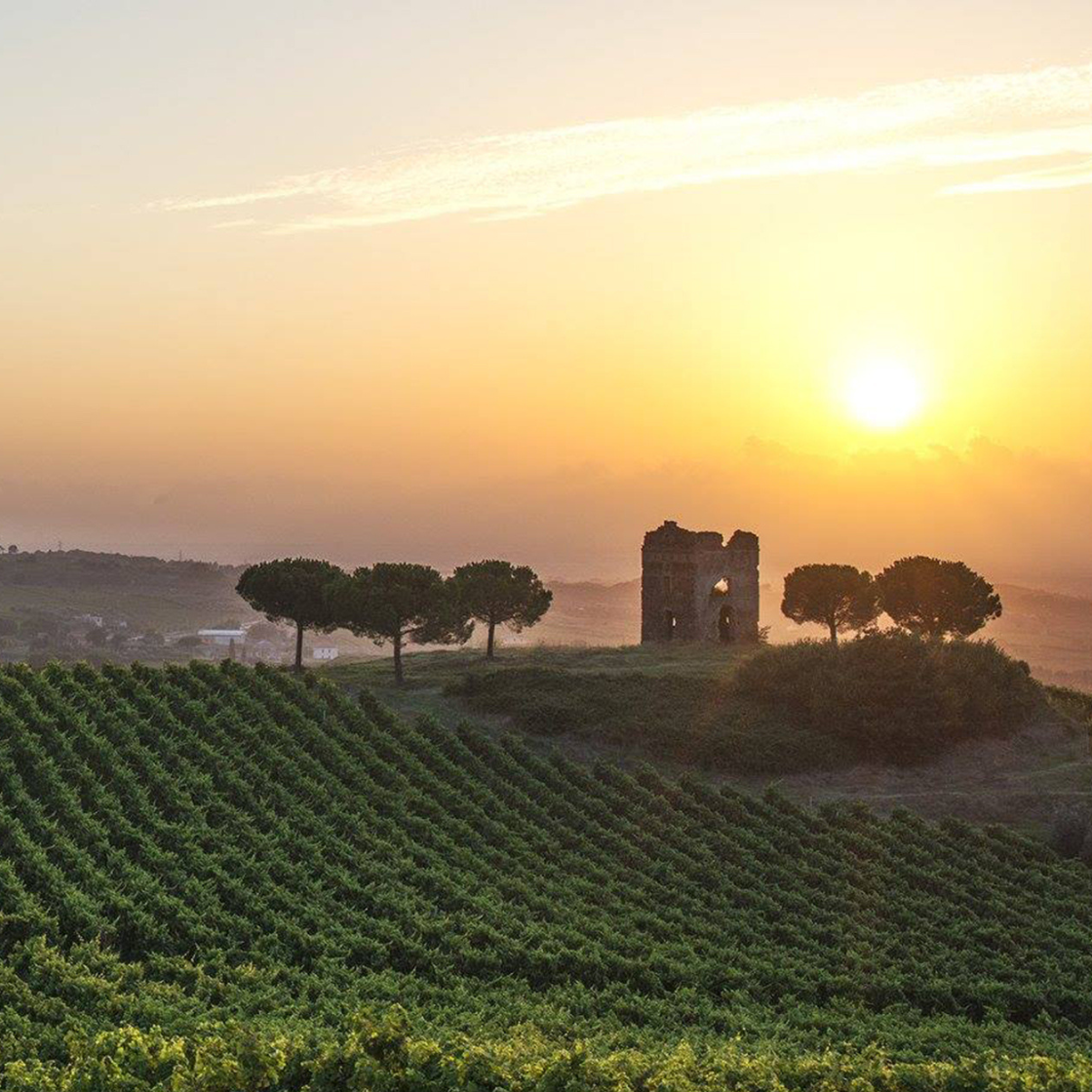 Principe Pallavicini